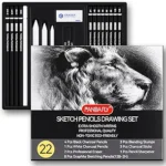 PANDAFLY Juego de lápices de dibujo, kit de 22 lápices de arte profesional 