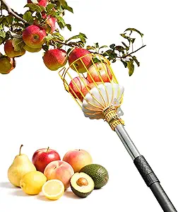 13.5FT Fruit Picker, Apple Picker Tool with Adjustable Pole and Basket